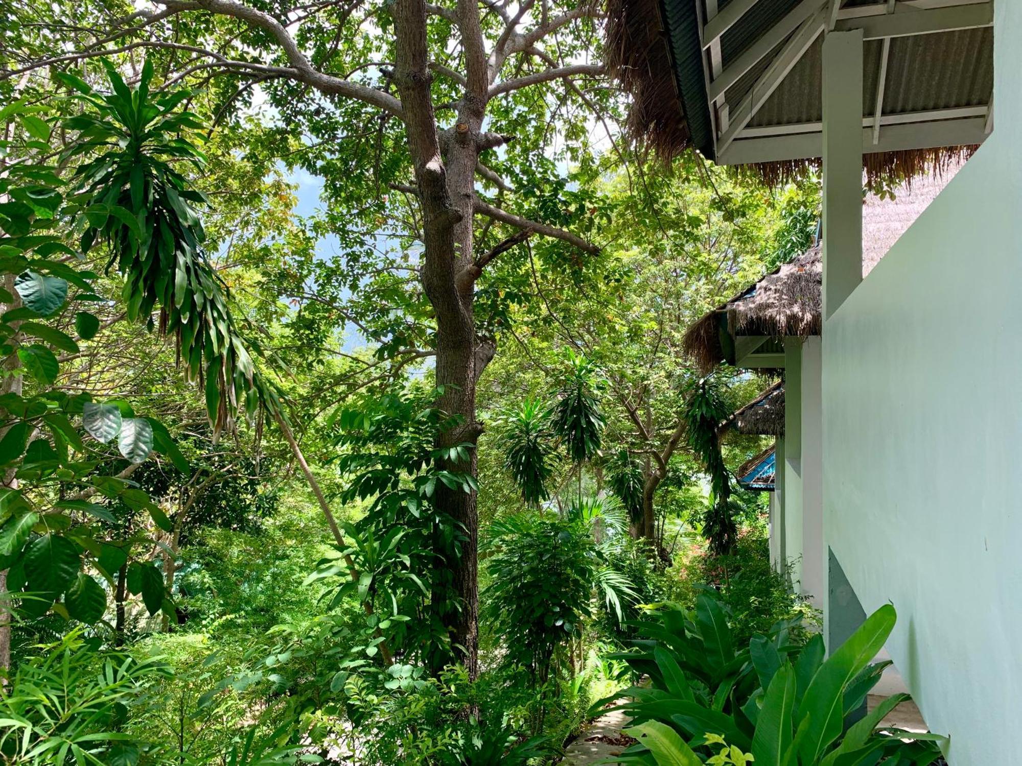 Coconut Beach Bungalows Chaloklum Rom bilde